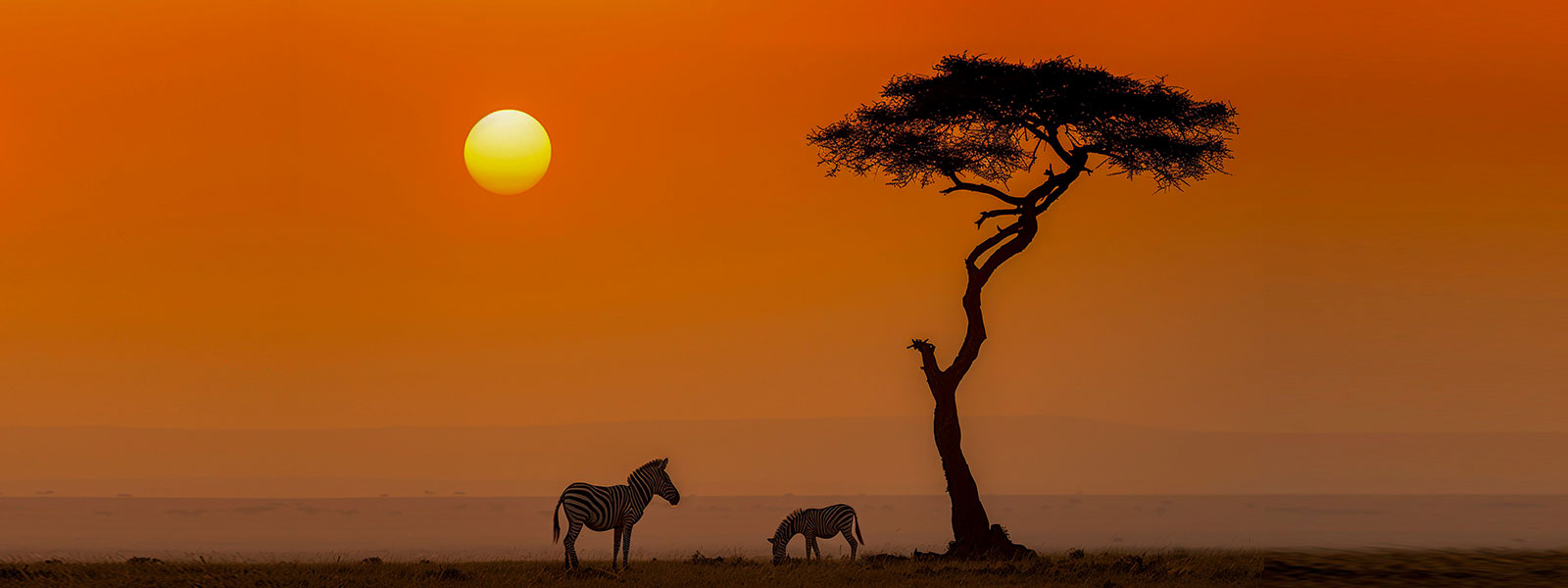 Rishidev Foundation Banner